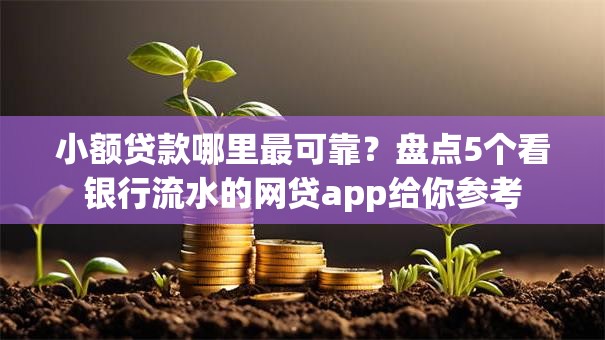 小额贷款哪里最可靠？盘点5个看银行流水的网贷app给你参考