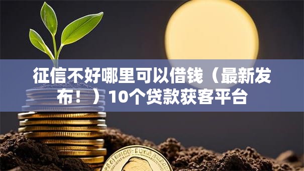 征信不好哪里可以借钱（最新发布！）10个贷款获客平台