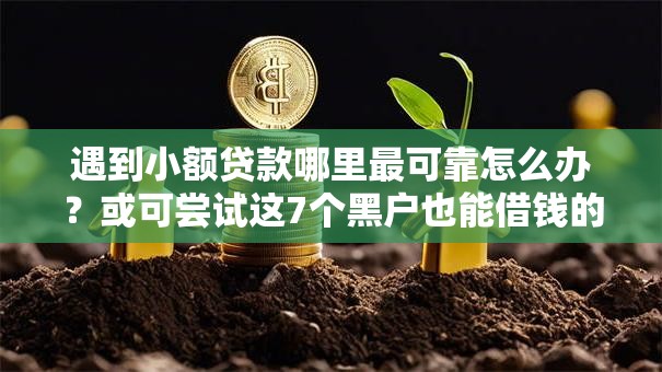 遇到小额贷款哪里最可靠怎么办？或可尝试这7个黑户也能借钱的平台