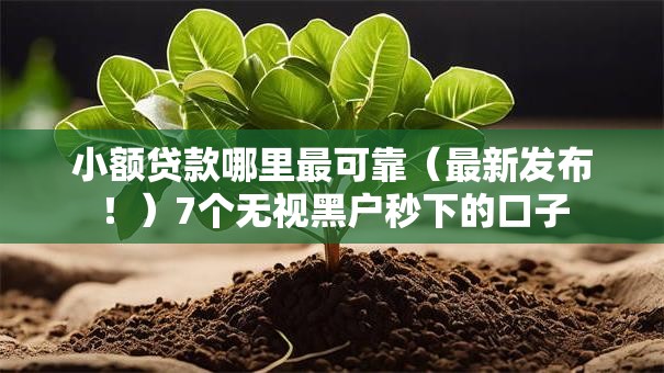 小额贷款哪里最可靠（最新发布！）7个无视黑户秒下的口子