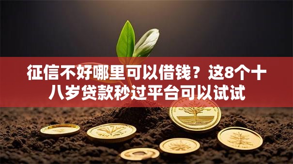 征信不好哪里可以借钱？这8个十八岁贷款秒过平台可以试试