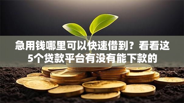 急用钱哪里可以快速借到？看看这5个贷款平台有没有能下款的