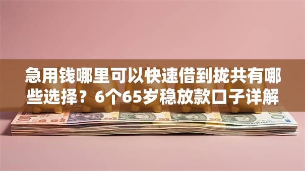 急用钱哪里可以快速借到拢共有哪些选择?6个65岁稳放款口子详解 急用钱哪里可以快速借到拢共有哪些选择?6个65岁稳放款口子详解