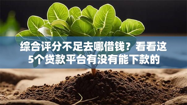 综合评分不足去哪借钱?看看这5个贷款平台有没有能下款的 综合评分不足去哪借钱?看看这5个贷款平台有没有能下款的