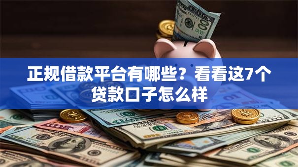 正规借款平台有哪些？看看这7个贷款口子怎么样