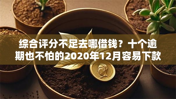 综合评分不足去哪借钱？十个逾期也不怕的2020年12月容易下款的口子
