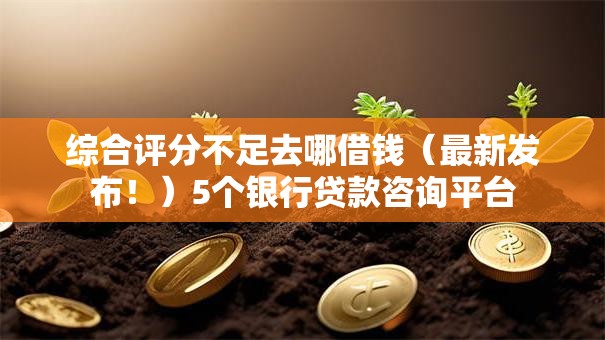 综合评分不足去哪借钱（最新发布！）5个银行贷款咨询平台