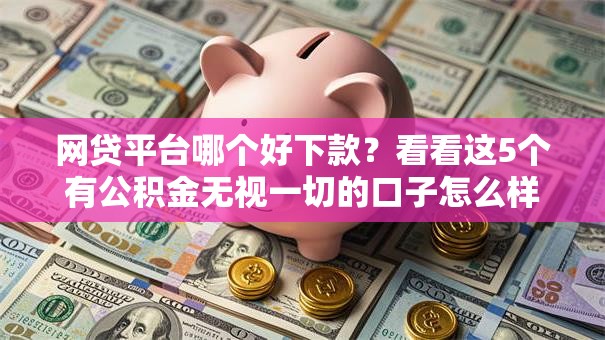 网贷平台哪个好下款?看看这5个有公积金无视一切的口子怎么样 网贷平台哪个好下款?看看这5个有公积金无视一切的口子怎么样