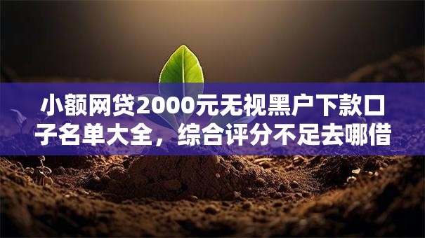 小额网贷2000元无视黑户下款口子名单大全，综合评分不足去哪借钱的5个平台介绍