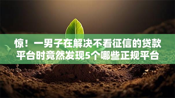惊!一男子在解决不看征信的贷款平台时竟然发现5个哪些正规平台可以借钱,事后分享了出来 惊!一男子在解决不看征信的贷款平台时竟然发现5个哪些正规平台可以借钱,事后分享了出来