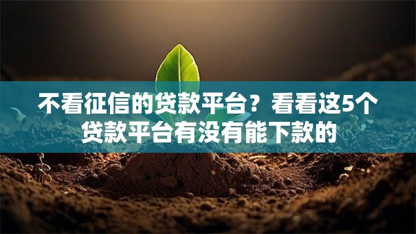 不看征信的贷款平台？看看这5个贷款平台有没有能下款的