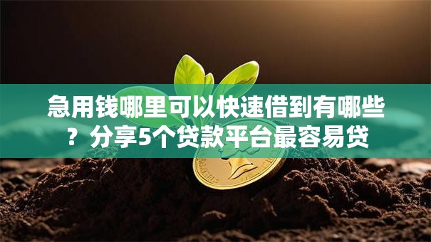 急用钱哪里可以快速借到有哪些？分享5个贷款平台最容易贷