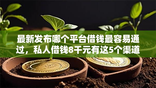 最新发布哪个平台借钱最容易通过，私人借钱8千元有这5个渠道