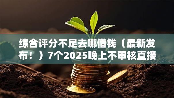 综合评分不足去哪借钱（最新发布！）7个2025晚上不审核直接放款口子
