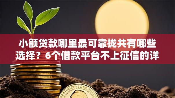 小额贷款哪里最可靠拢共有哪些选择?6个借款平台不上征信的详解 小额贷款哪里最可靠拢共有哪些选择?6个借款平台不上征信的详解