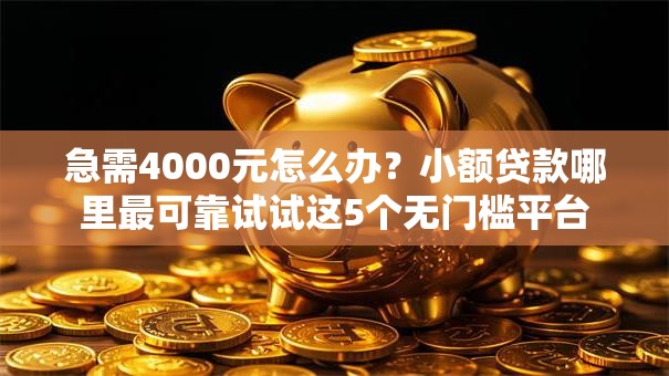 急需4000元怎么办?小额贷款哪里最可靠试试这5个无门槛平台 急需4000元怎么办?小额贷款哪里最可靠试试这5个无门槛平台