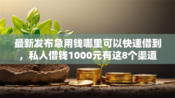 最新发布急用钱哪里可以快速借到，私人借钱1000元有这8个渠道