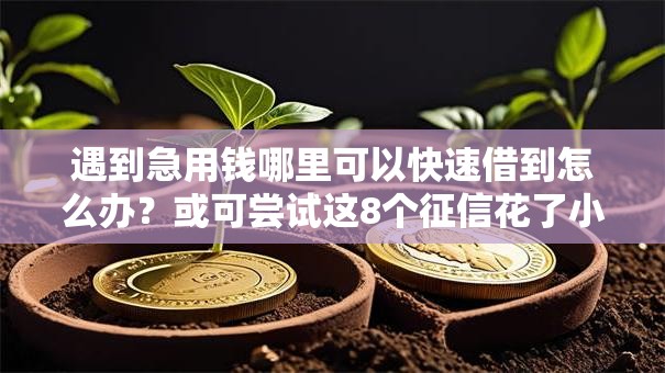 遇到急用钱哪里可以快速借到怎么办？或可尝试这8个征信花了小额贷款正规平台