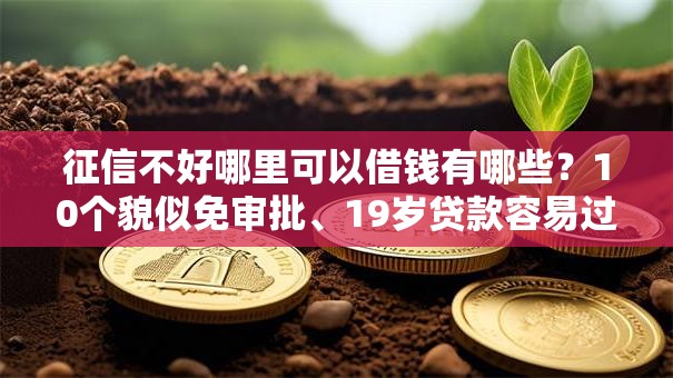 征信不好哪里可以借钱有哪些？10个貌似免审批、19岁贷款容易过审批的平台合集