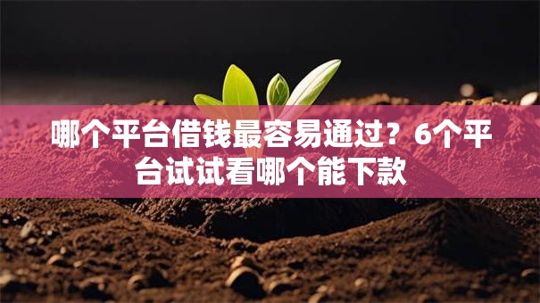 哪个平台借钱最容易通过?6个平台试试看哪个能下款 哪个平台借钱最容易通过?6个平台试试看哪个能下款