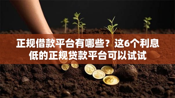 正规借款平台有哪些?这6个利息低的正规贷款平台可以试试 正规借款平台有哪些?这6个利息低的正规贷款平台可以试试