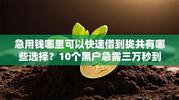 急用钱哪里可以快速借到拢共有哪些选择?10个黑户急需三万秒到的的平台详解 急用钱哪里可以快速借到拢共有哪些选择?10个黑户急需三万秒到的的平台详解