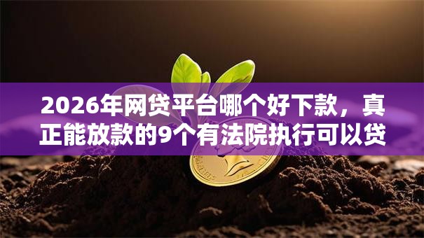 2026年网贷平台哪个好下款,真正能放款的9个有法院执行可以贷款的口子推荐 2026年网贷平台哪个好下款,真正能放款的9个有法院执行可以贷款的口子推荐