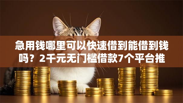 急用钱哪里可以快速借到能借到钱吗？2千元无门槛借款7个平台推荐