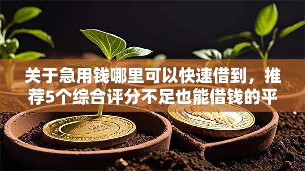 关于急用钱哪里可以快速借到，推荐5个综合评分不足也能借钱的平台给你
