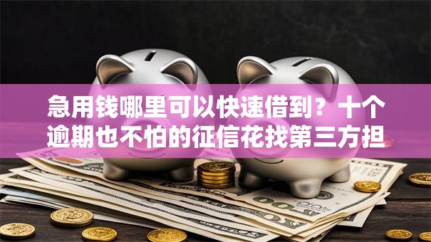 急用钱哪里可以快速借到?十个逾期也不怕的征信花找第三方担保贷款平台 急用钱哪里可以快速借到?十个逾期也不怕的征信花找第三方担保贷款平台