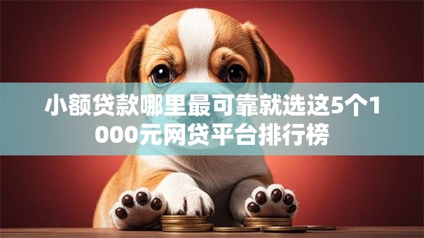 小额贷款哪里最可靠就选这5个1000元网贷平台排行榜