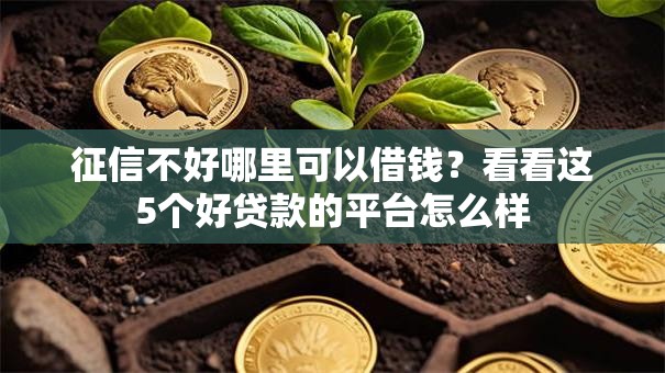 征信不好哪里可以借钱?看看这5个好贷款的平台怎么样 征信不好哪里可以借钱?看看这5个好贷款的平台怎么样