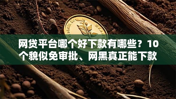 网贷平台哪个好下款有哪些?10个貌似免审批、网黑真正能下款的平台合集 网贷平台哪个好下款有哪些?10个貌似免审批、网黑真正能下款的平台合集