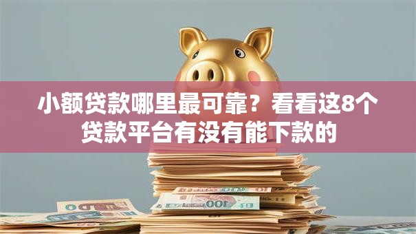 小额贷款哪里最可靠？看看这8个贷款平台有没有能下款的