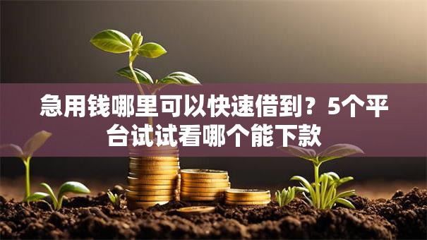 急用钱哪里可以快速借到?5个平台试试看哪个能下款 急用钱哪里可以快速借到?5个平台试试看哪个能下款