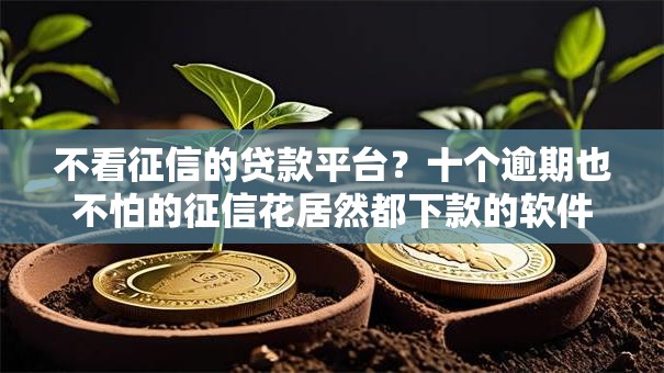不看征信的贷款平台？十个逾期也不怕的征信花居然都下款的软件