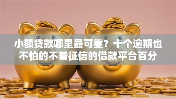 小额贷款哪里最可靠？十个逾期也不怕的不看征信的借款平台百分百通过