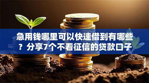 急用钱哪里可以快速借到有哪些？分享7个不看征信的贷款口子