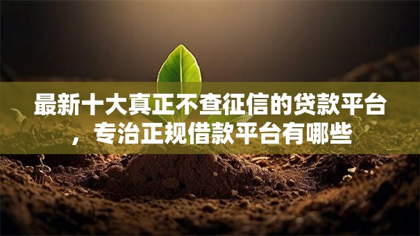 最新十大真正不查征信的贷款平台,专治正规借款平台有哪些 最新十大真正不查征信的贷款平台,专治正规借款平台有哪些