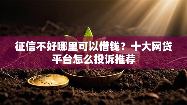 征信不好哪里可以借钱？十大网贷平台怎么投诉推荐
