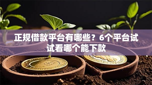 正规借款平台有哪些？6个平台试试看哪个能下款