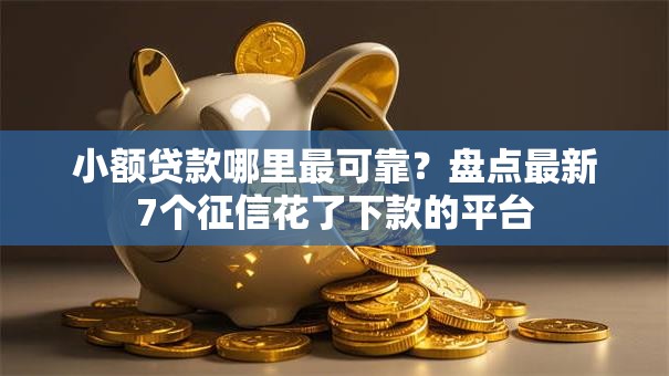 小额贷款哪里最可靠？盘点最新7个征信花了下款的平台