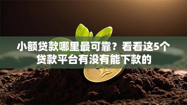 小额贷款哪里最可靠?看看这5个贷款平台有没有能下款的 小额贷款哪里最可靠?看看这5个贷款平台有没有能下款的