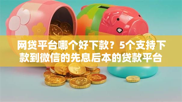 网贷平台哪个好下款?5个支持下款到微信的先息后本的贷款平台 网贷平台哪个好下款?5个支持下款到微信的先息后本的贷款平台