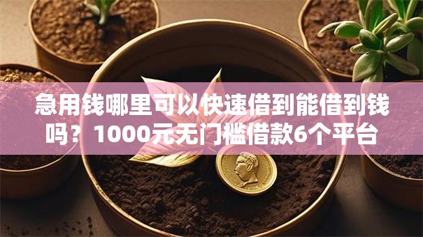 急用钱哪里可以快速借到能借到钱吗?1000元无门槛借款6个平台推荐 急用钱哪里可以快速借到能借到钱吗?1000元无门槛借款6个平台推荐