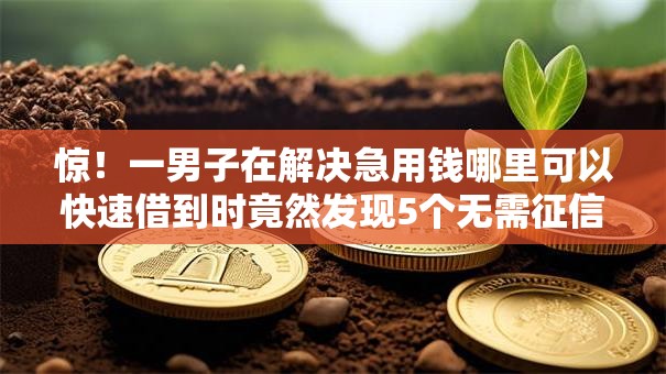 惊!一男子在解决急用钱哪里可以快速借到时竟然发现5个无需征信无房无车能借钱的贷款平台,事后分享了出来 惊!一男子在解决急用钱哪里可以快速借到时竟然发现5个无需征信无房无车能借钱的贷款平台,事后分享了出来