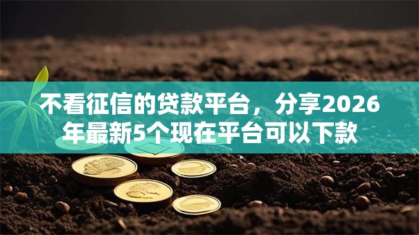 不看征信的贷款平台，分享2026年最新5个现在平台可以下款