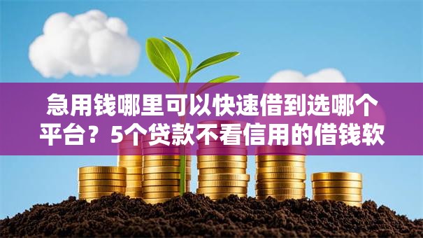 急用钱哪里可以快速借到选哪个平台?5个贷款不看信用的借钱软件推荐 急用钱哪里可以快速借到选哪个平台?5个贷款不看信用的借钱软件推荐