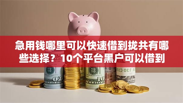 急用钱哪里可以快速借到拢共有哪些选择？10个平台黑户可以借到钱呢详解