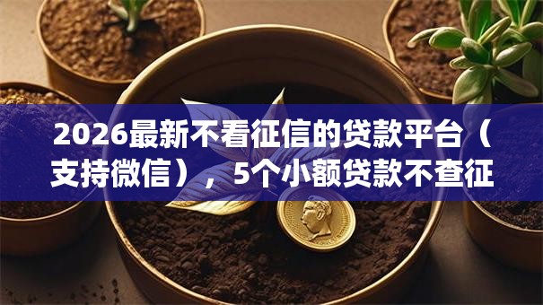 2026最新不看征信的贷款平台(支持微信),5个小额贷款不查征信的app无私分享 2026最新不看征信的贷款平台(支持微信),5个小额贷款不查征信的app无私分享
